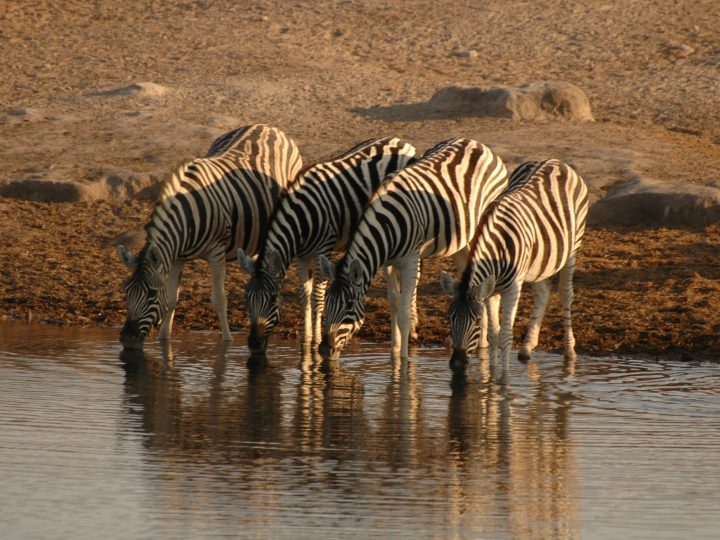 Namibia, un destino inolvidable para este año
