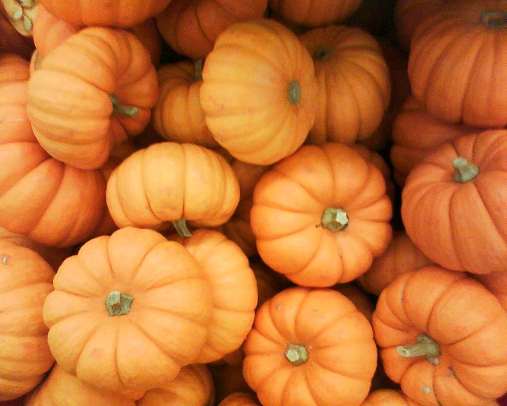 calabaza