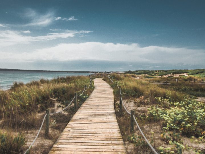 Yoga in Formentera