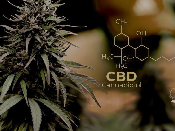 Más CBD Shop