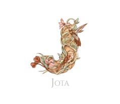 Estudio de Fotografía Jota