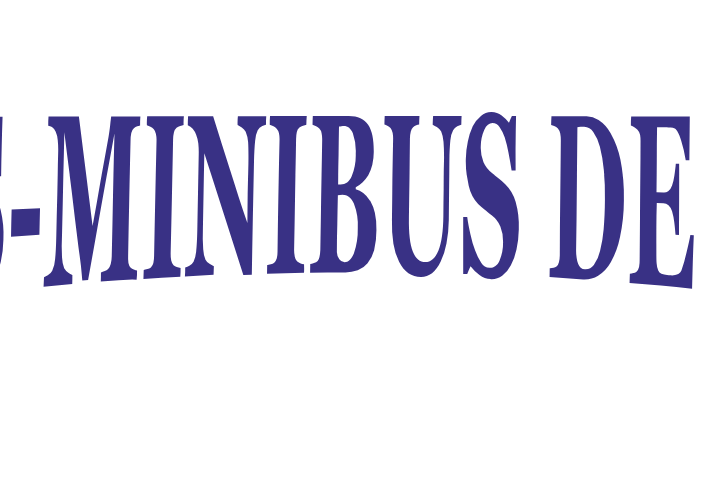 Taxi Minibus Nerja