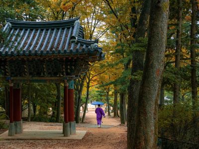 Viaja Corea