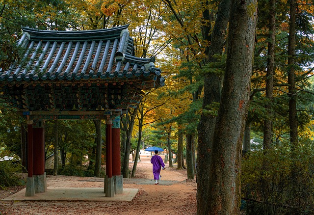 Viaja Corea